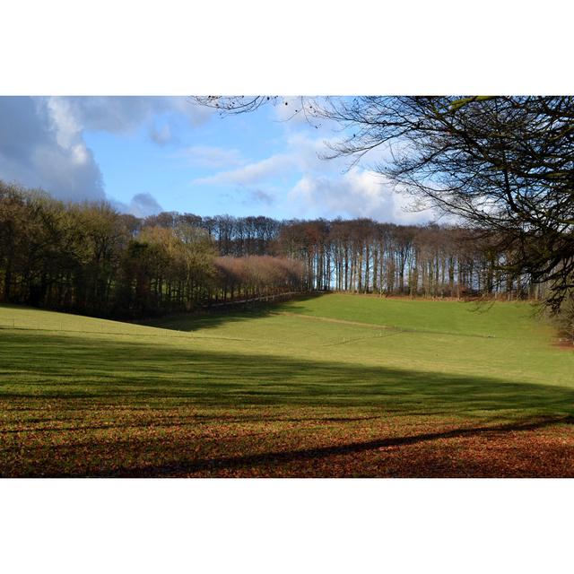 Undulating Landscape - Wrapped Canvas Photograph 17 Stories Size: 81cm H x 122cm W on Productcaster.