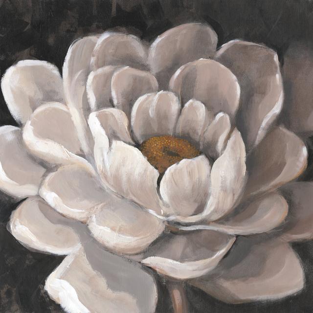 Neutral Fleur I by Tim OToole - Wrapped Canvas Art Print Rosalind Wheeler Size: 30cm H x 30cm W on Productcaster.