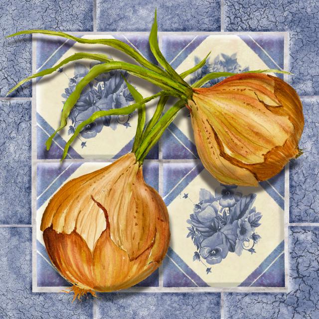 Onion Tile by Abby White - Wrapped Canvas Art Prints Rosalind Wheeler Size: 30cm H x 30cm W x 0.38cm D on Productcaster.