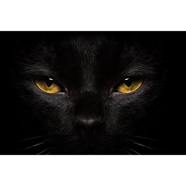 Halloween Black Cat - Wrapped Canvas Art Prints 17 Stories Size: 20cm H x 30cm W on Productcaster.