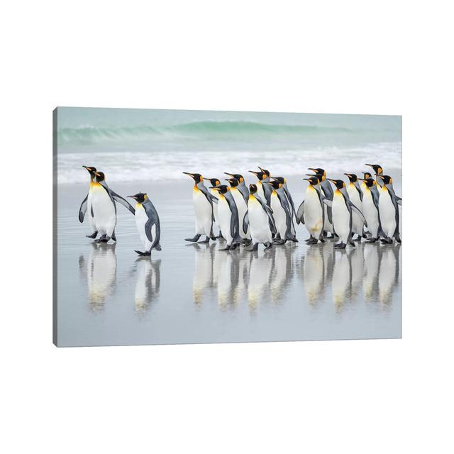 King Penguin on Falkland Islands. by Martin Zwick - Wrapped Canvas Photograph Latitude Run Size: 30.48cm H x 45.72cm W x 1.9cm D on Productcaster.