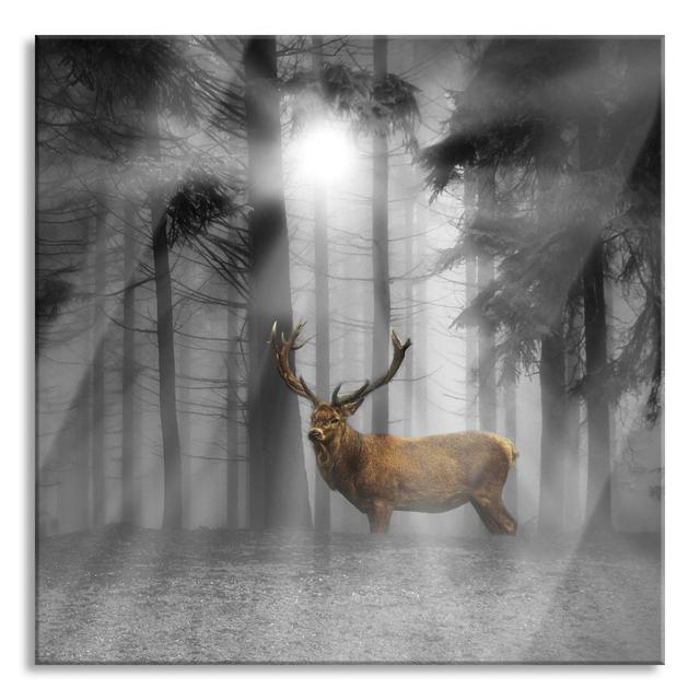 Glasbild Deer in a Forest Clearing. Sunbeams. Detail Union Rustic Größe: 80 cm H x 80 cm B x 0.4 cm T on Productcaster.