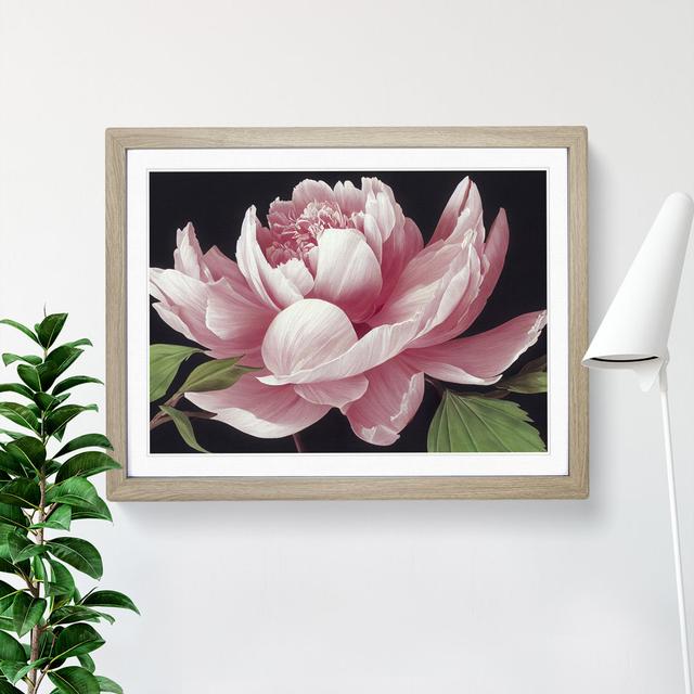 Delicious Peony Flower - Single Picture Frame Painting 17 Stories Frame Colour: Oak, Size: 46cm H x 64cm W x 2cm D on Productcaster.