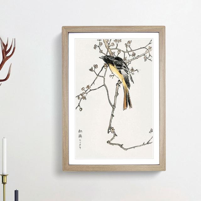 Siberian Blue-Tail Bird by Numata Kashu - Picture Frame Painting Print East Urban Home Format: Oak, Size: 50cm H x 35cm W x 2cm D on Productcaster.