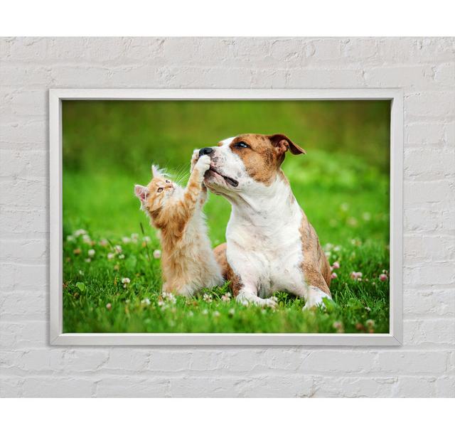 Cat No Dog Talk - Print Bright Star Size: 59.7cm H x 84.1cm W x 3.3cm D on Productcaster.