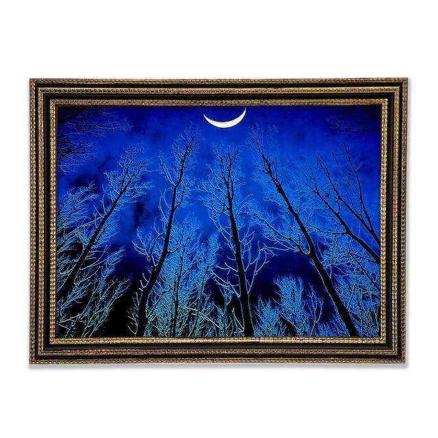 Forest By Moonlight - Einzelner Bilderrahmen Kunstdrucke Union Rustic Größe: 59,7 cm H x 84,1 cm B x 3 cm T on Productcaster.