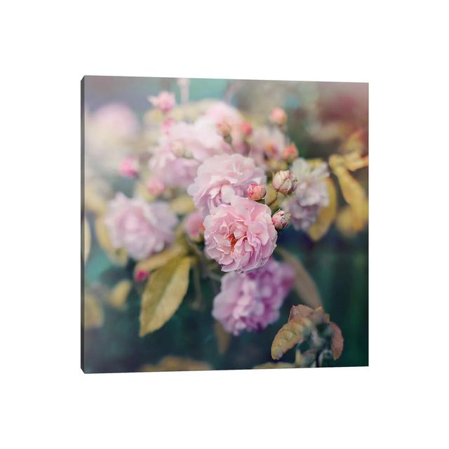 Season Of Blossoms by Sarah Gardner - Wrapped Canvas Print Fairmont Park Size: 45.72cm H x 45.72cm W on Productcaster.