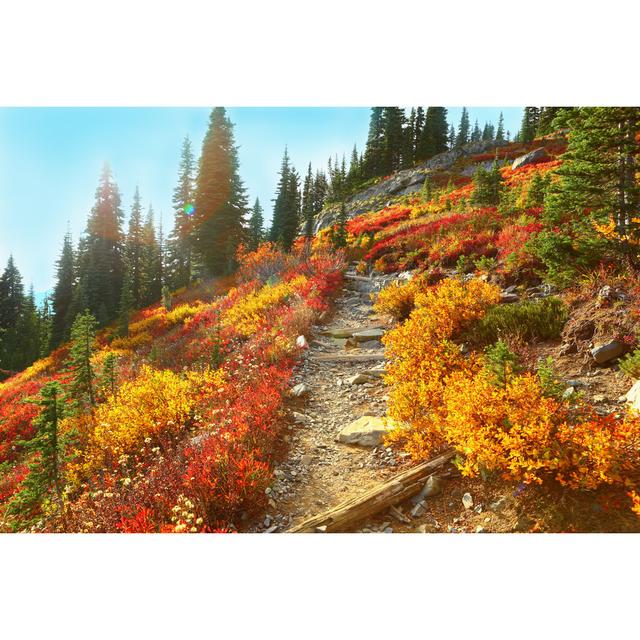 Mount Rainier Washington - Wrapped Canvas Photograph Union Rustic Size: 20cm H x 30cm W x 3.8cm D on Productcaster.