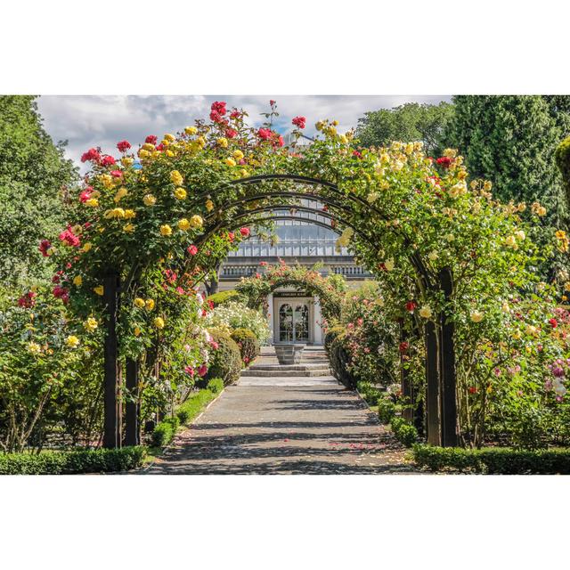 Rose Garden In The Botanic Gardens by Cmfotoworks - Wrapped Canvas Print Ebern Designs Size: 51cm H x 76cm W x 3.8cm D on Productcaster.