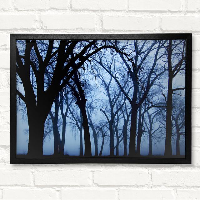 Night Forest - Closed Corner Frame Art Prints on Wood ClassicLiving Size: 59.7cm H x 84.1cm W on Productcaster.