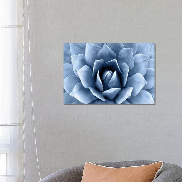 Indigo Succulent II by Mia Jensen - Wrapped Canvas Print 17 Stories Size: 45.72cm H x 66.04cm W x 1.91cm D on Productcaster.