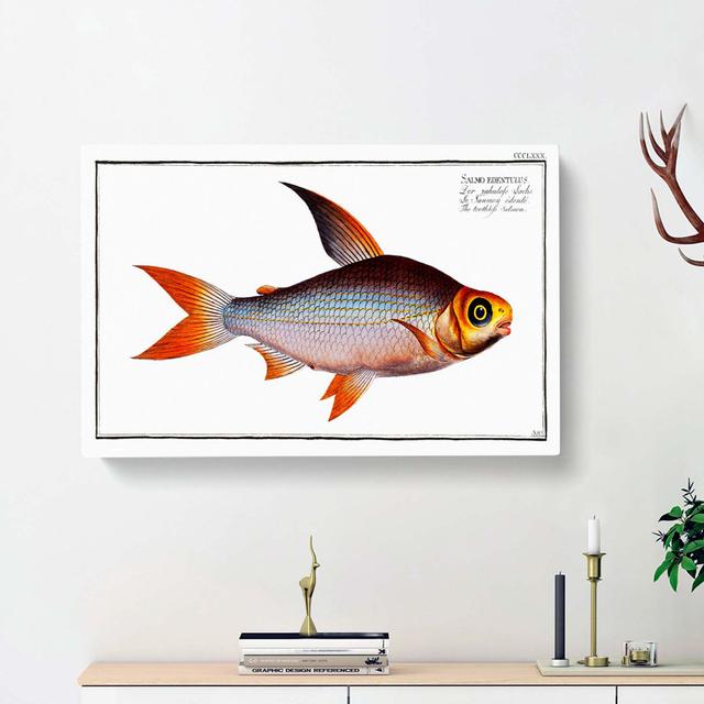 Toothless Salmon Fish by M.E. Bloch - Wrapped Canvas Painting East Urban Home Size: 35cm H x 50cm W x 3cm D on Productcaster.