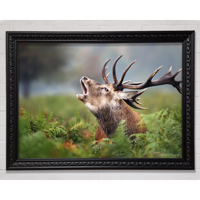 Elk Call - Print Union Rustic Size: 29.7cm H x 42cm W x 3cm D on Productcaster.