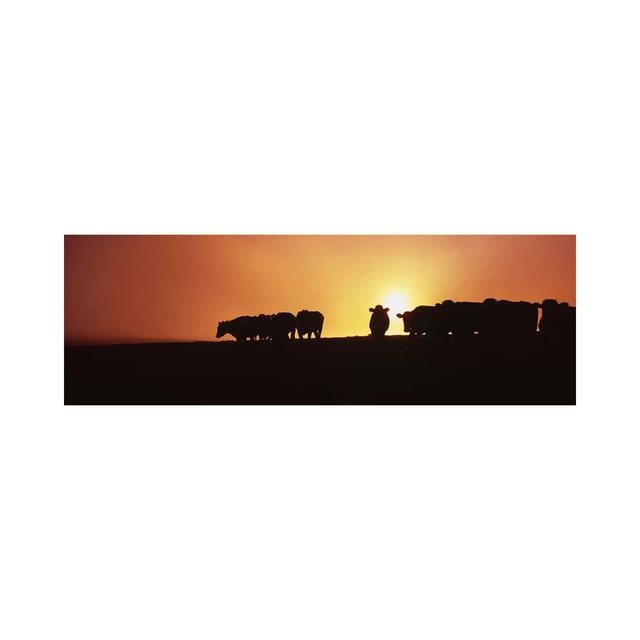 Silhouette Of Cows At Sunset, Point Reyes National Seashore, California, USA - Wrapped Canvas Panoramic Print Ebern Designs Size: 60.96cm H x 182.88cm on Productcaster.