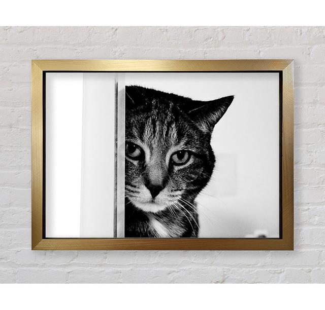 Cat Beauty - Single Picture Frame Art Prints Bright Star Size: 100cm H x 141.4cm W on Productcaster.