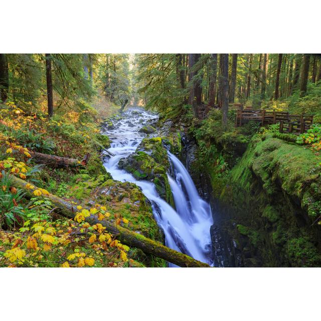 Sol Duc Waterfall in Forest by aiisha - Wrapped Canvas Photograph Alpen Home Size: 30cm H x 46cm W x 3.8cm D on Productcaster.