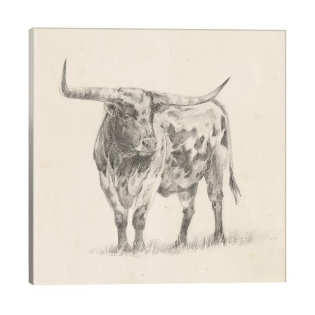 Longhorn Steer Sketch II by Ethan Harper - Wrapped Canvas Graphic Art Print Brambly Cottage on Productcaster.