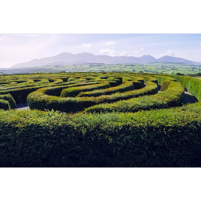 Hedge Maze Against Blue Sky by M-image - Wrapped Canvas Photograph Union Rustic Size: 20cm H x 30cm W x 3.8cm D on Productcaster.