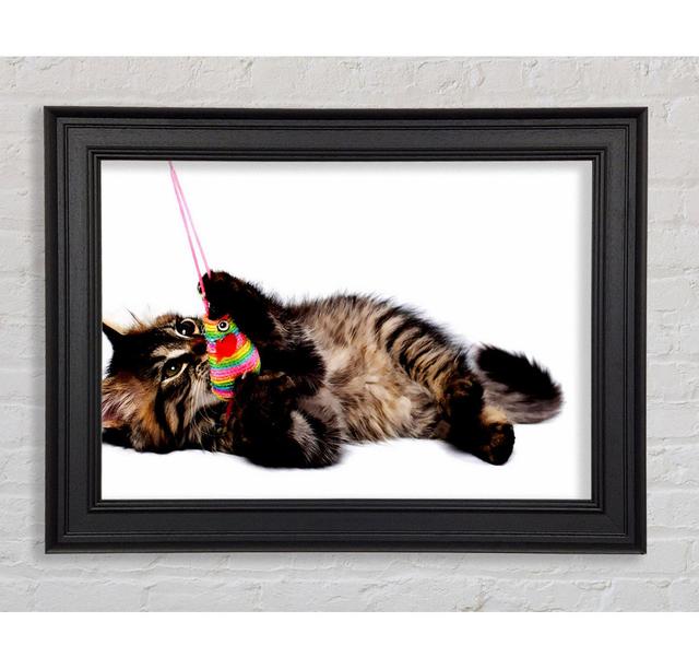 Kitten Play Framed Print Ebern Designs Size: 21cm H x 42cm W on Productcaster.