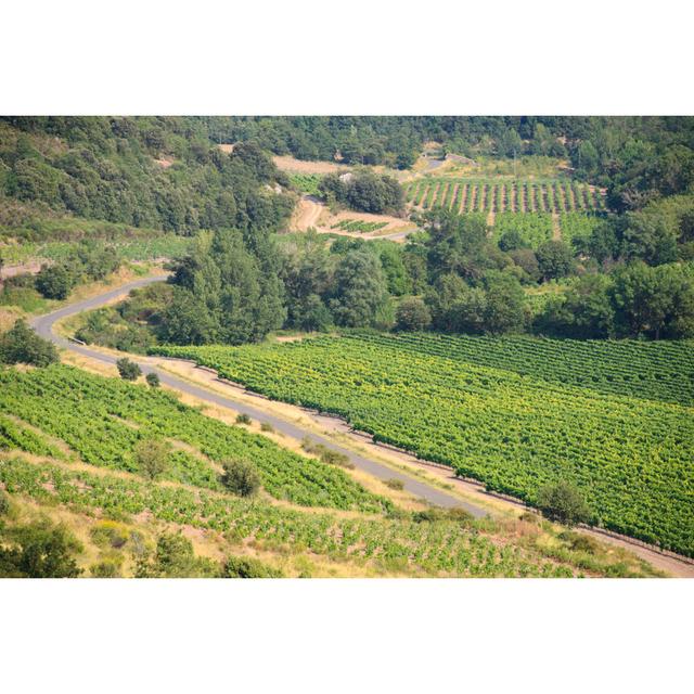 Road Through Vineyards - CorbiÃ ̈res, France by Bunhill - No Frame Print on Canvas 17 Stories Size: 81cm H x 122cm W on Productcaster.