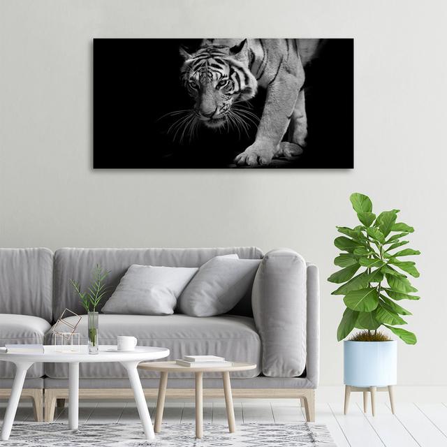 Tiger - Wrapped Canvas Art Prints Latitude Run on Productcaster.