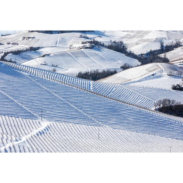 Balmville Balmville Vineyards In The Snow - Wrapped Canvas Photograph Latitude Run Size: 20cm H x 30cm W x 3.8cm D on Productcaster.