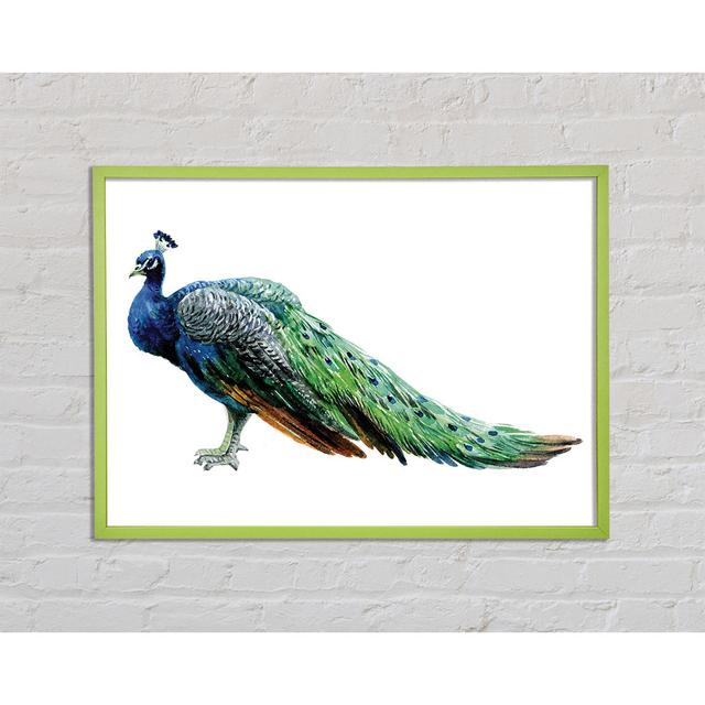 Peacock Stance - Single Picture Frame Art Prints Latitude Vive Size: 21cm H x 29.7cm W x 2cm D on Productcaster.