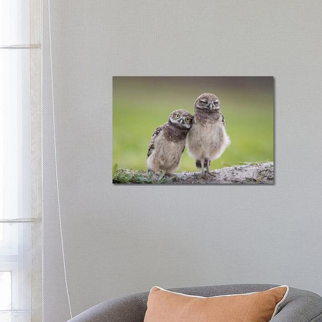 Friends by Greg Barsh - Wrapped Canvas Gallery-Wrapped Canvas Giclée Latitude Run Size: 45.72cm H x 66.04cm W x 1.91cm D on Productcaster.