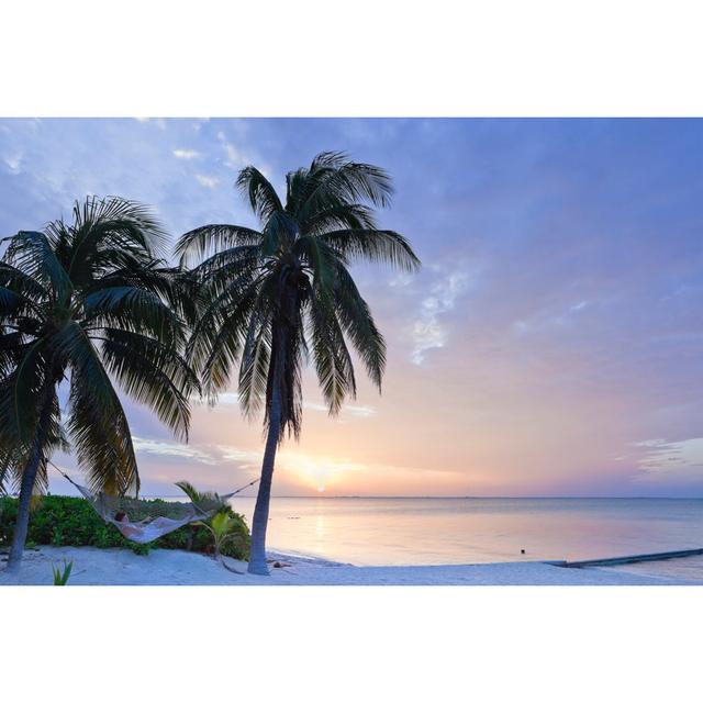 Rum Point Beach by Flavio Vallenari - No Frame Print on Canvas 17 Stories Size: 80cm H x 120cm W on Productcaster.