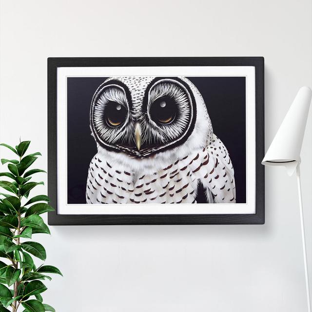 Superb Owl - Picture Frame Graphic Art Alpen Home Size: 34cm H x 46cm W x 2cm D, Frame Colour: Black on Productcaster.