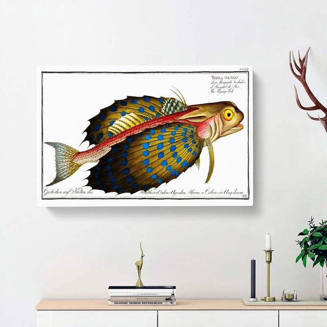 Flying-Fish by M.E. Bloch - Wrapped Canvas Painting East Urban Home Size: 35cm H x 50cm W x 3cm D on Productcaster.