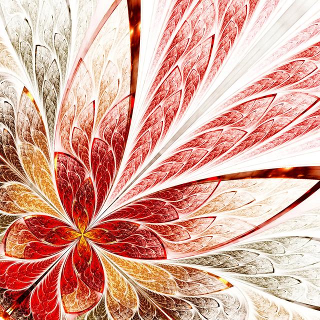 Winscott Beautiful Fractal Flower - Wrapped Canvas Graphic Art ClassicLiving Size: 76cm H x 76cm W x 3.8cm D on Productcaster.