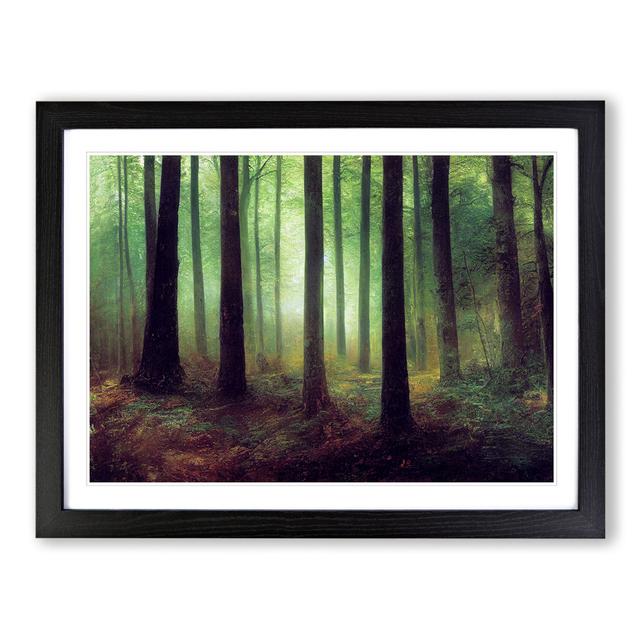 A Shimmering Forest - Single Picture Frame Print Alpen Home Size: 46cm H x 64cm W, Frame Colour: Black on Productcaster.