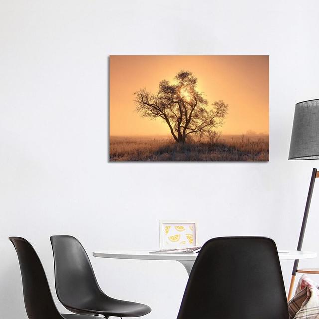 Canada, Saskatchewan. Hoarfrost On Tree At Sunrise. by Jaynes Gallery - Wrapped Canvas Gallery-Wrapped Canvas Giclée ClassicLiving Size: 66.04cm H x 1 on Productcaster.