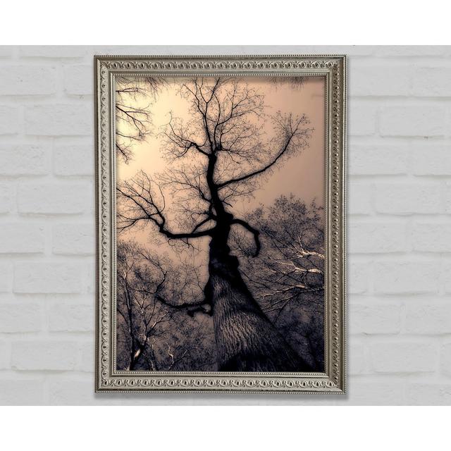 The Bare Winter Tree - Single Picture Frame Art Prints Bright Star Size: 84.1cm H x 59.7cm W on Productcaster.