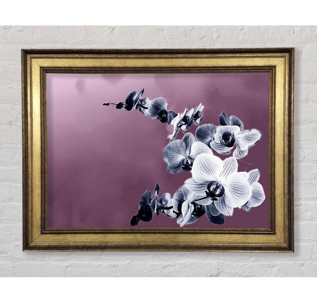 Single Picture Frame Art Prints Bright Star Size: 29.7cm H x 42cm W on Productcaster.