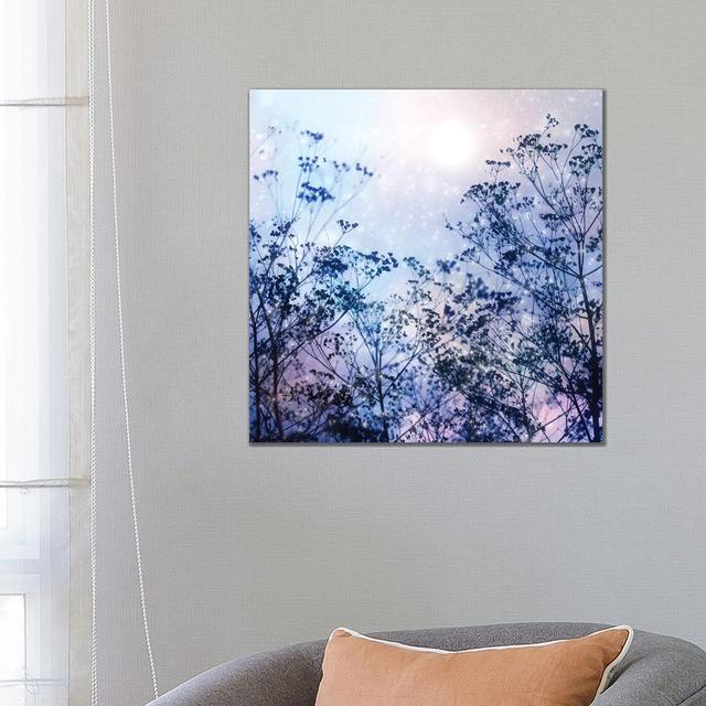 Winter Solstice - Wrapped Canvas Print ClassicLiving Size: 66.04cm H x 66.04cm W x 1.91cm D on Productcaster.