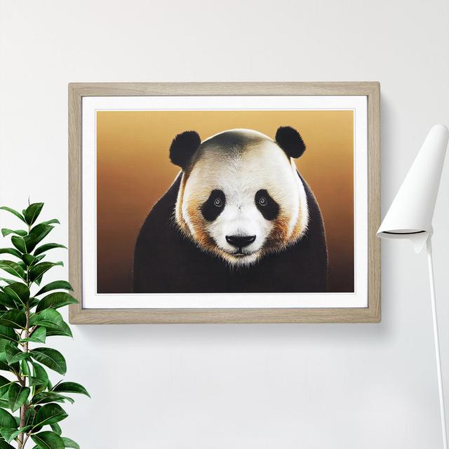 Imaginative Panda - Single Picture Frame Print Latitude Vive Size: 46cm H x 64cm W x 2cm D, Frame Colour: Oak on Productcaster.