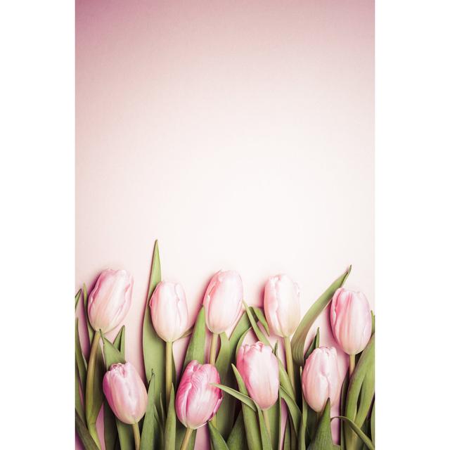 Pink Tulips On The Pink Background. Flat Lay, Top View. Valentines Background. by Ekaterina Molchanova - Wrapped Canvas Print Ebern Designs Size: 91cm on Productcaster.