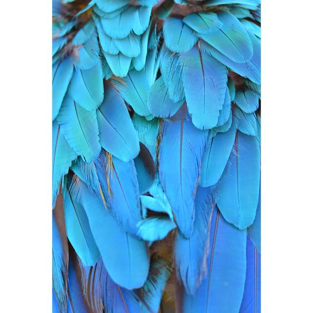 Arregui Colorful Macaw Plumage - Print Latitude Run Size: 91cm H x 61cm W x 3.8cm D on Productcaster.