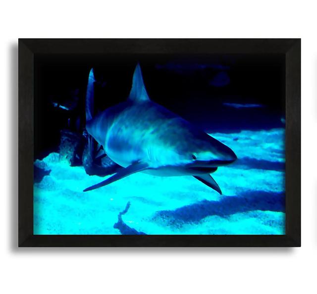 Shark Hunt - Picture Frame Graphic Art on Canvas House of Hampton Size: 30cm H x 42cm W x 10cm D on Productcaster.