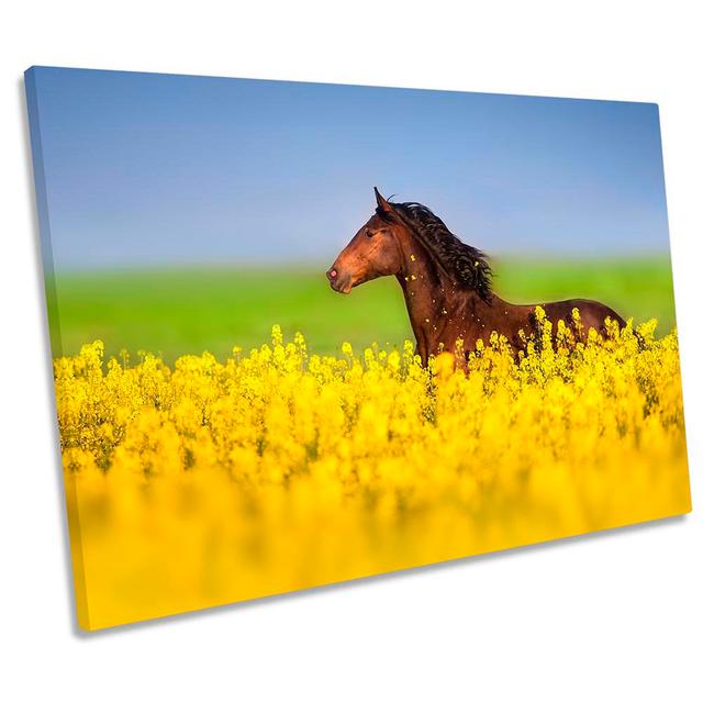 Horse Field Floral - Wrapped Canvas Print August Grove Size: 61cm H x 91.4cm W on Productcaster.