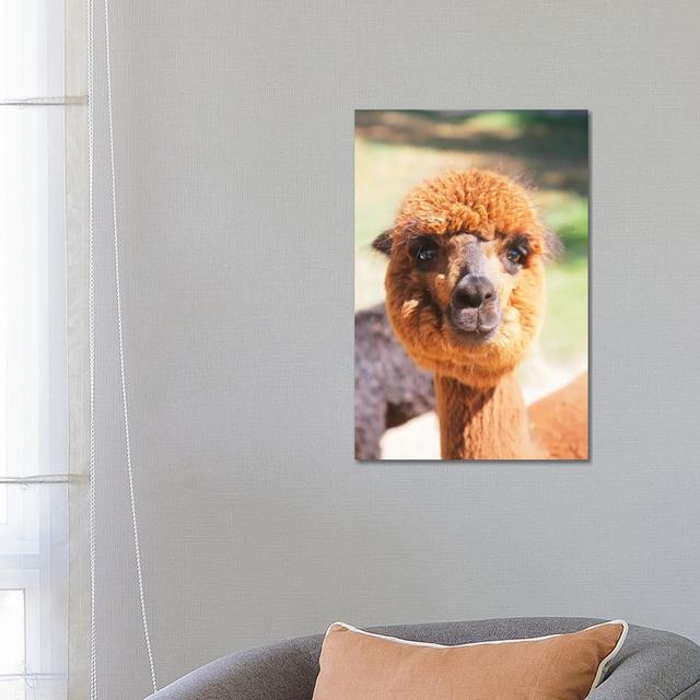 Puffy Brown Alpaca by Susan Vizvary - Gallery-Wrapped Canvas Giclée on Canvas 17 Stories Format: Canvas, Size: 66.04cm H x 45.72cm W x 1.905cm D on Productcaster.