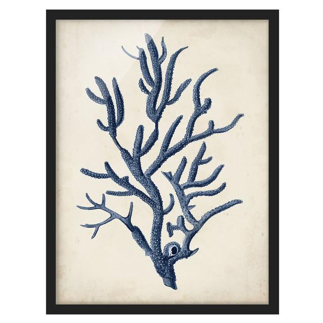 Picture With Frame - Indigo Coral II - Portrait 4:3 Highland Dunes Size: 55cm H x 40cm W x 2cm D, Frame Option: Black on Productcaster.