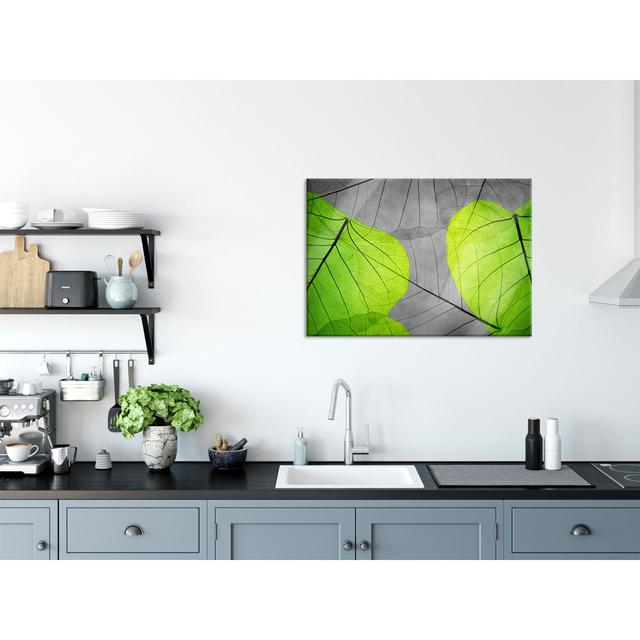 Beautiful delicate leaves - Unframed Photograph on Glass Brayden Studio Size: 60cm H x 80cm W on Productcaster.