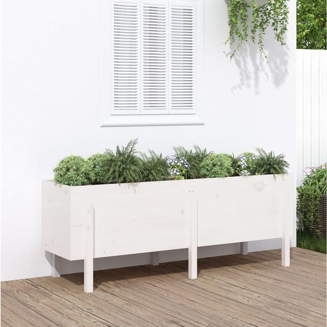 Meenakshi Wood Raised Garden Bed Ebern Designs Colour: White, Wood Species: Pine, Size: 57cm H x 160cm W x 50cm D on Productcaster.