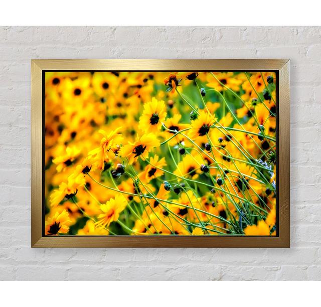 Very Yellow - Single Picture Frame Art Prints Brayden Studio Size: 59.7cm H x 84.1cm W x 3.4cm D, Format: Gold Framed Paper on Productcaster.