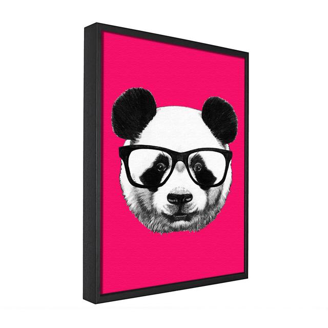 Funky Panda - Einzelner Bilderrahmen Grafik auf Leinwand Happy Larry Größe: 50,8 cm H x 81,3 cm B x 10 cm T on Productcaster.