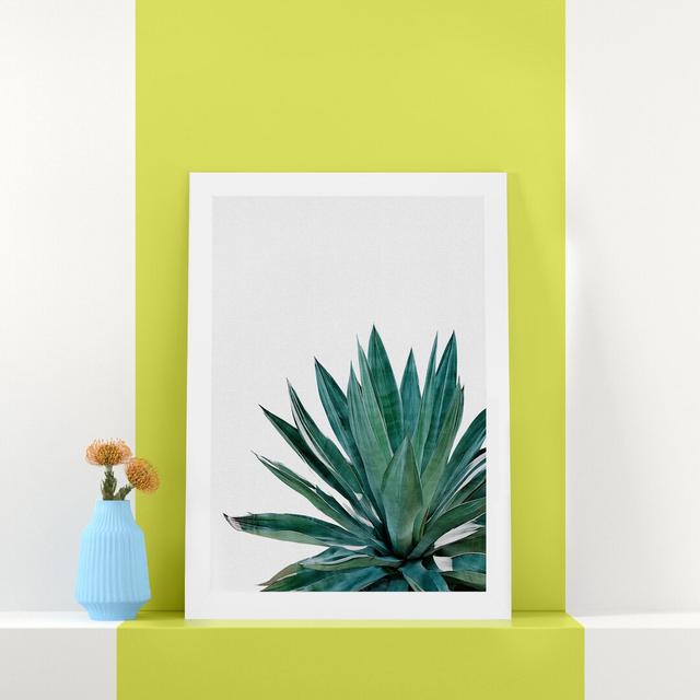 Agave Cactus - Print Hashtag Home Format: White Grain Frame, Size: 85 cm H x 60 cm W x 5 cm D on Productcaster.