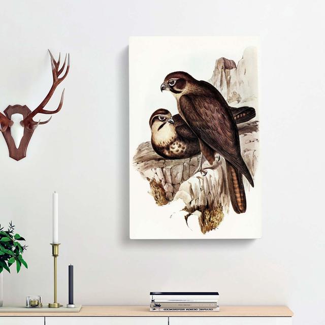 Brown Hawks by Elizabeth Gould - Wrapped Canvas Painting Print East Urban Home Size: 60cm H x 40cm W x 3cm D on Productcaster.